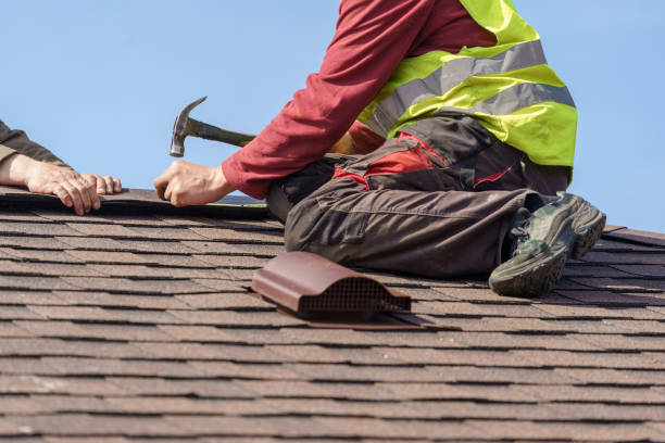 Roof Gutter Cleaning in Cave Spring, VA