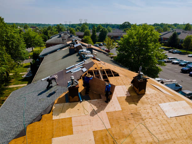 Best Flat Roof Repair Services  in Cave Spring, VA