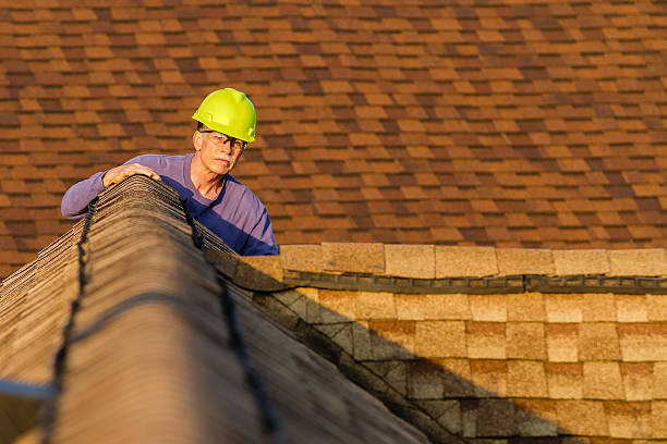 Best Metal Roofing Contractor  in Cave Spring, VA
